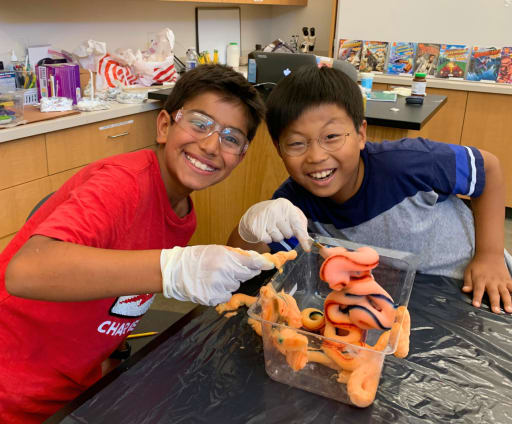 Summer Festival of Learning - Pinewood School