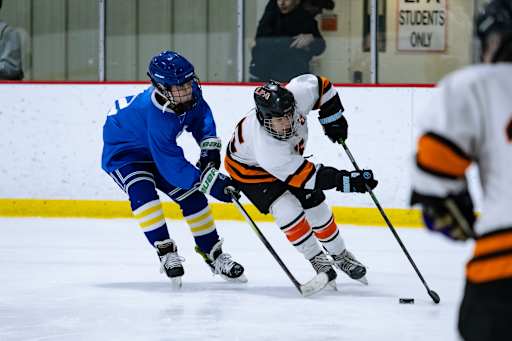 Athletics - Lake Forest Academy