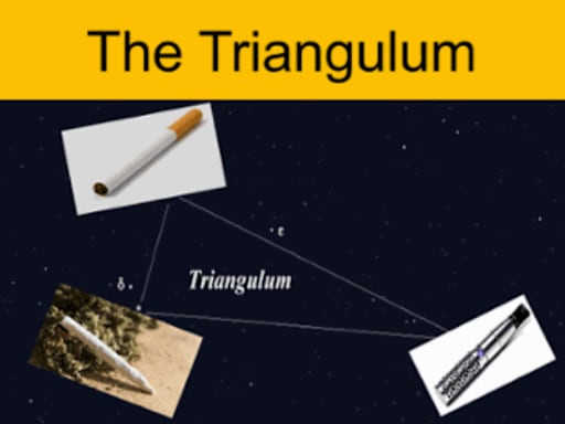 triangle tobacco Key Issues