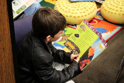Young boy reading a book