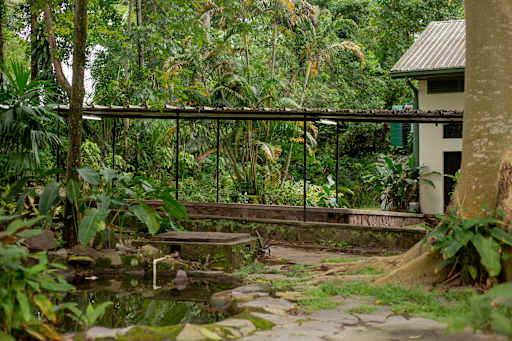 The American School of Kinshasa (TASOK) — Campus