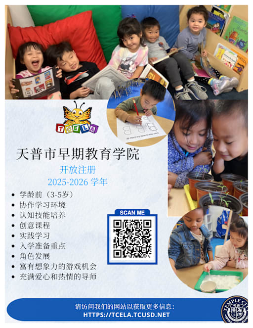 ChineseTCELAEnrollment (PDF)