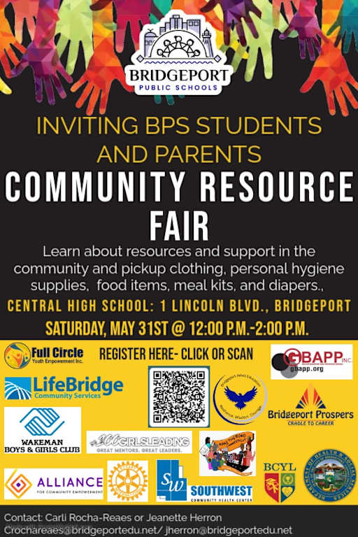 Community Fairs For Education Flyers