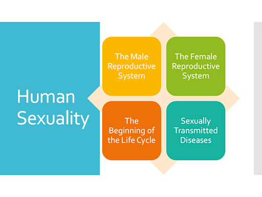 female sexuality pdf