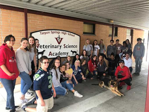 Veterinary Sciences Academy