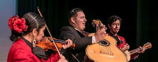 vapa music Visual Arts and Performing Arts