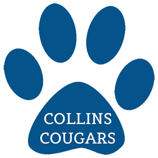 洋楽 LP Collins And Collins Collins & Collins - Collins & Collins - 180-Gram Black Vinyl