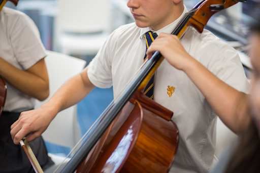 The British School of Brasilia — Arts