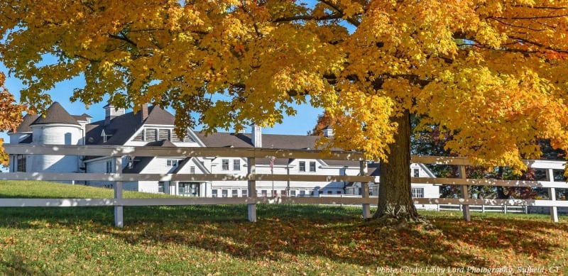 Our Farms Town Of Suffield
