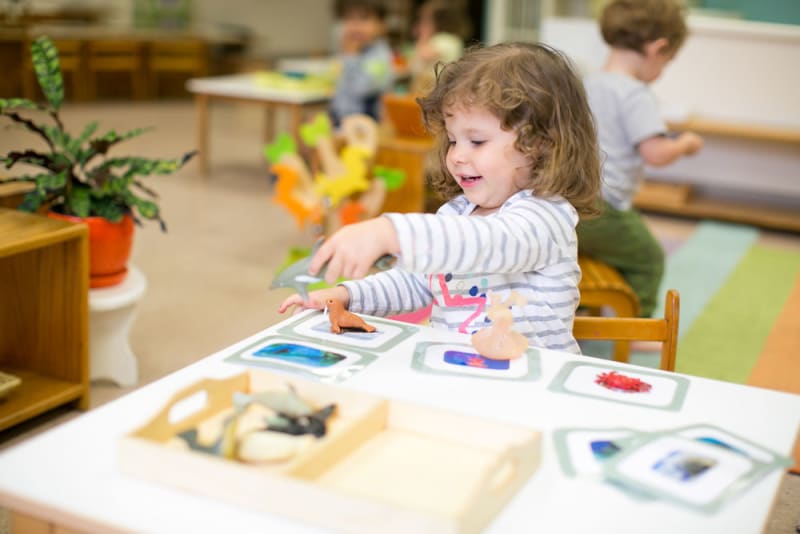 a student in the young children's community