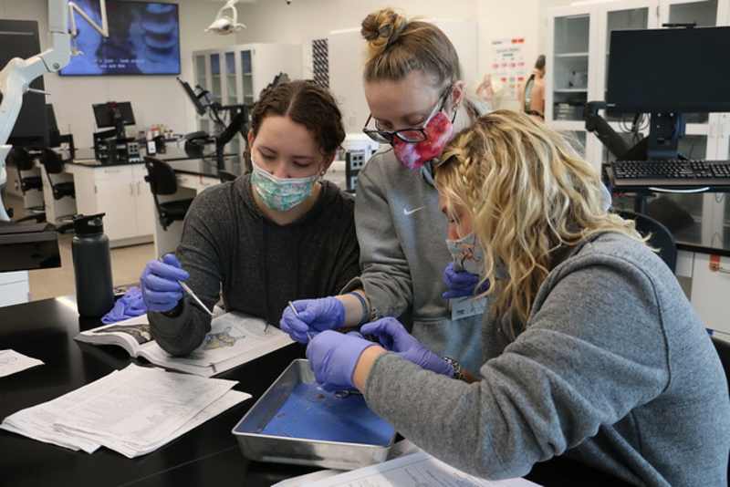 Misericordia students working together in the Henry Science Center