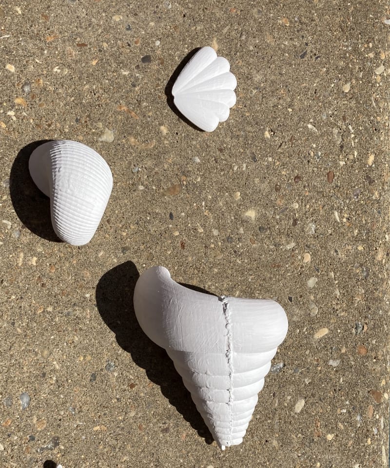 3d printed shells