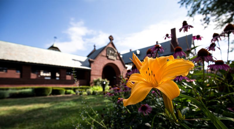 A bright yellow flower blooms in the front of St. Mark's School.