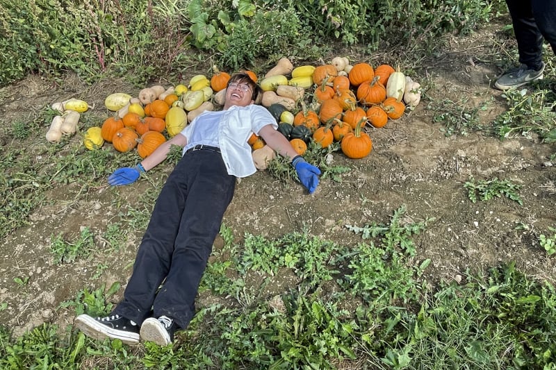 A person is lying on the ground surrounded by various colorful pumpkins in a lush, green outdoor setting.