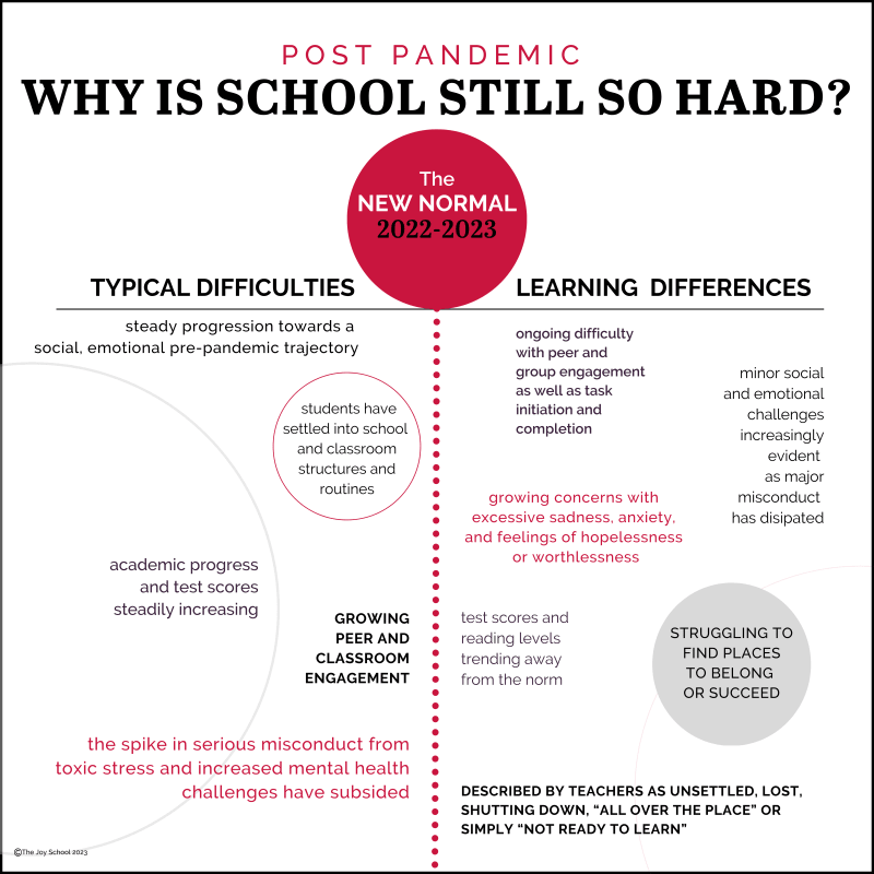 Ｎｅｗ　ｌｅａｒｎｉｎｇ　ｃｈａｌｌｅｎｇｅｓ Ｇｏｉｎｇ　ｂｅｙｏｎｄ　ｔｈｅ　ｉｎｄｕｓｔｒｉ  /関西大学出版部/山住勝広（単行本） New learning challenges Going