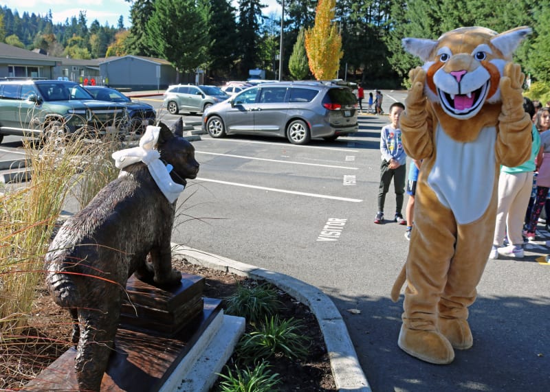 Bronze Bobcat Mascot Statue for Cougar Ridge Elementary