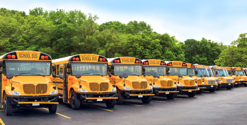 School Buses