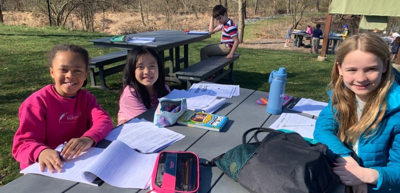 Students studying outside