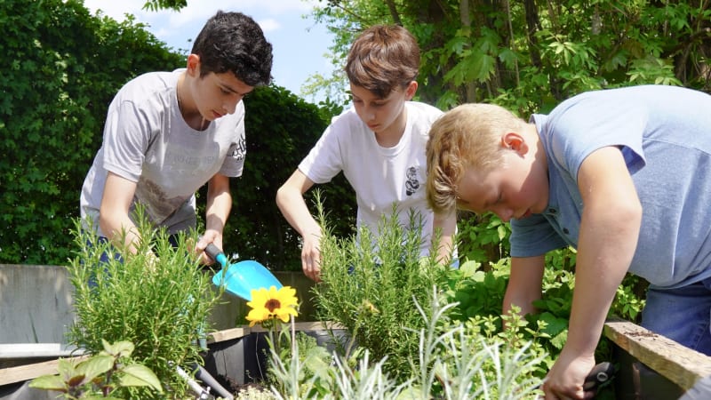 International School Augsburg AG — Sports