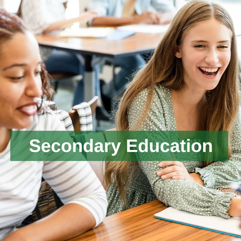 secondary ed