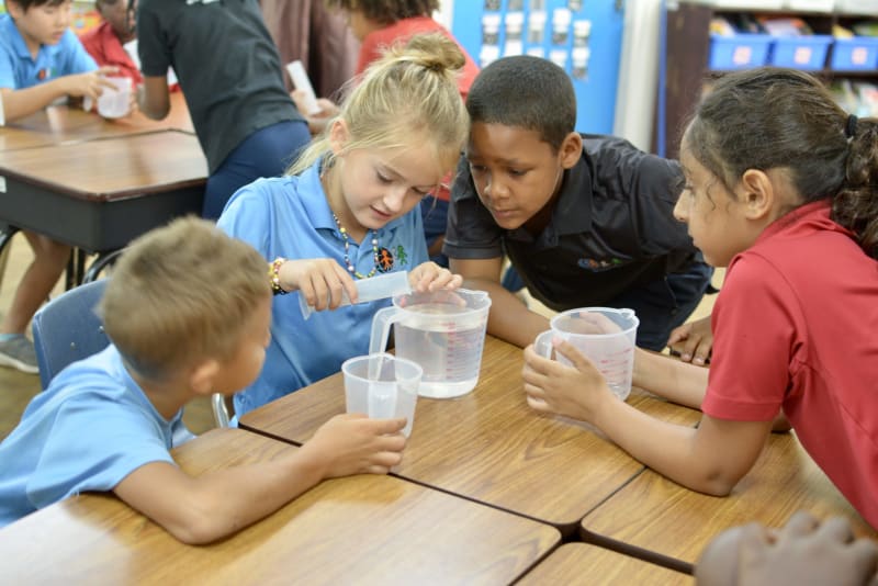 Primary students in class