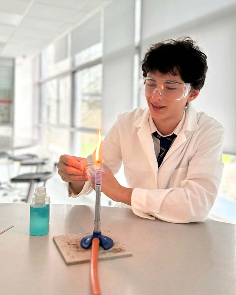 Amity International School Amsterdam — Arts