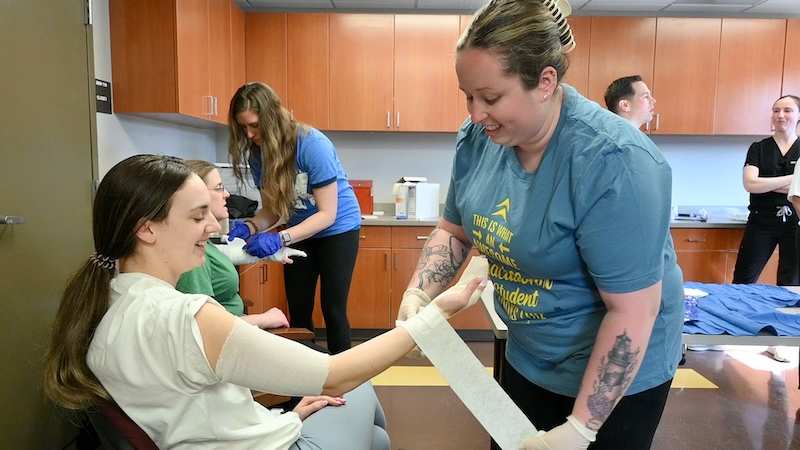 Adult gerontology primary care clinical learning