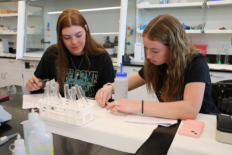 Students working in a lab