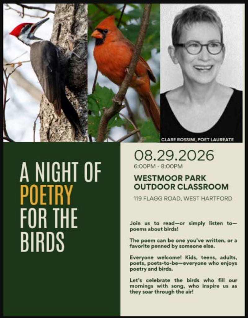 A Celebration of Poems About Birds