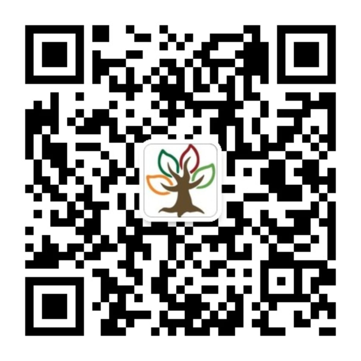 WeChat QR Code for Changchun American International School