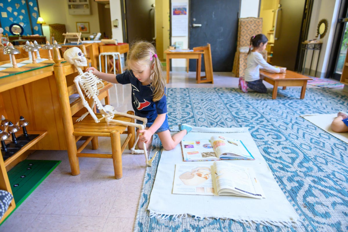 Montessori School In Houston Tx Post Oak School