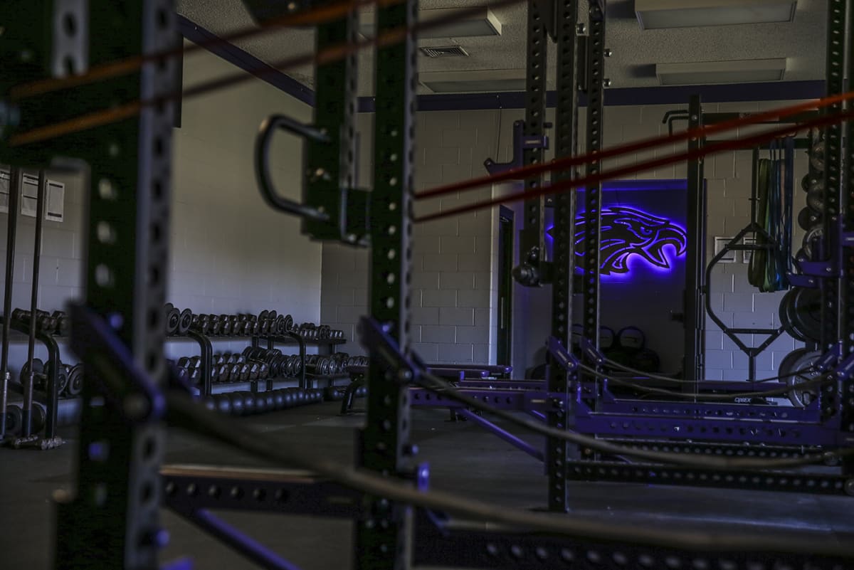 Glowing Eagle Head in the weight room