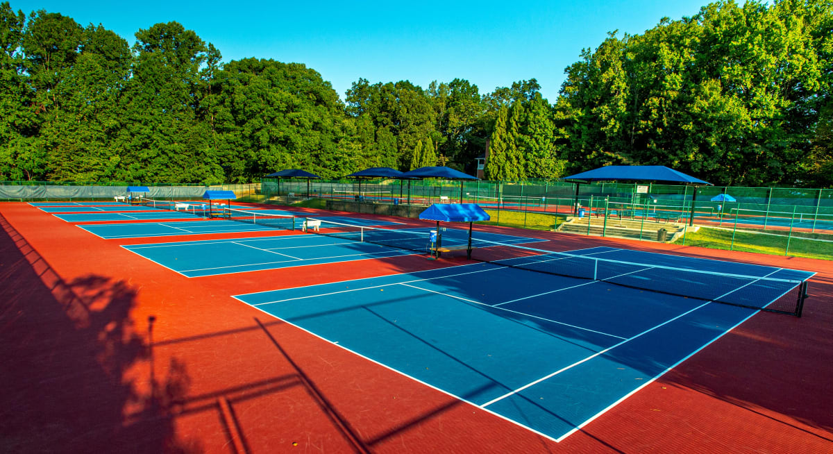 Providence Day School Team Home Providence Day School Chargers Sports