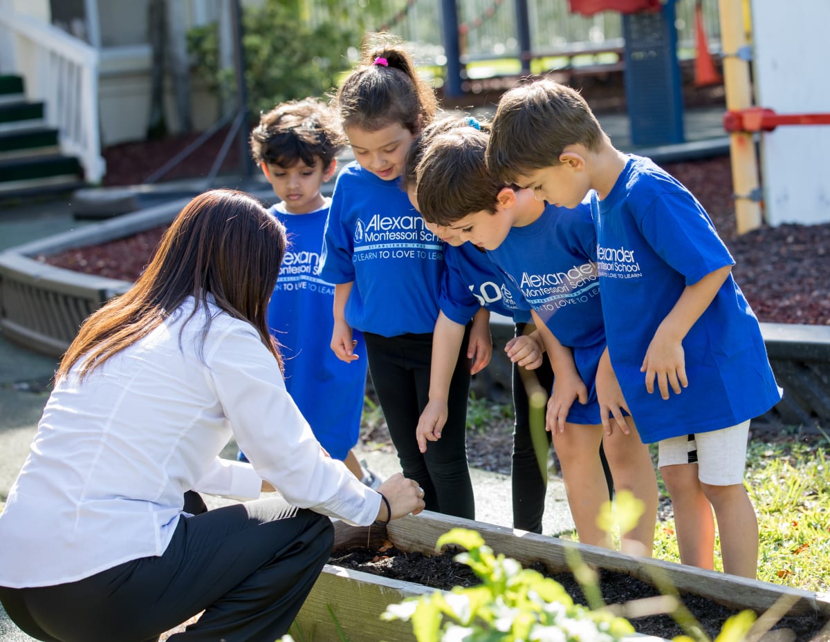Alexander Montessori Summer Camp
