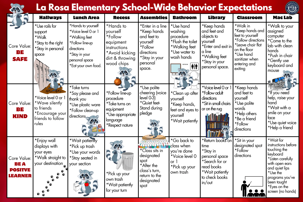 PBIS Chart for Students
