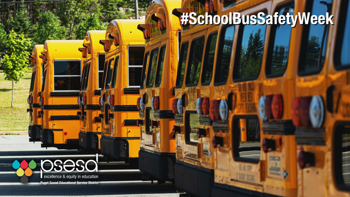 Learning Better School Bus Safety