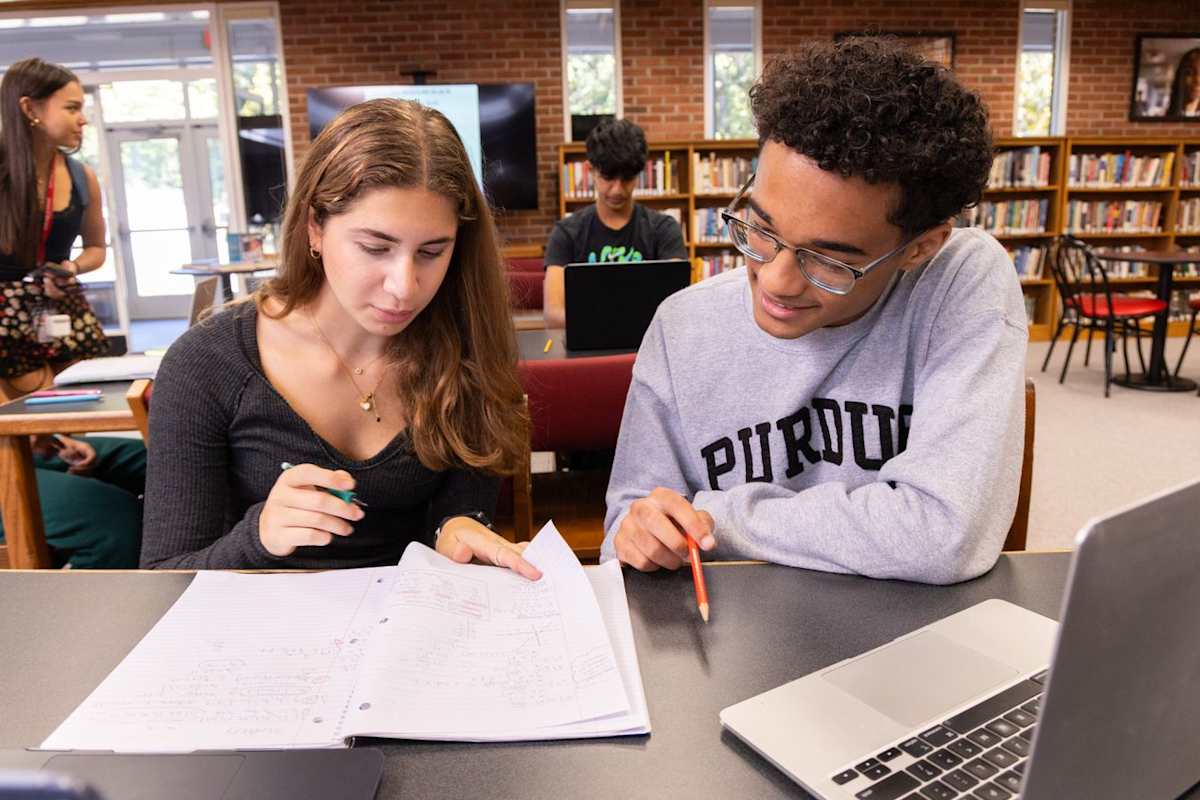 Two students study in the library.