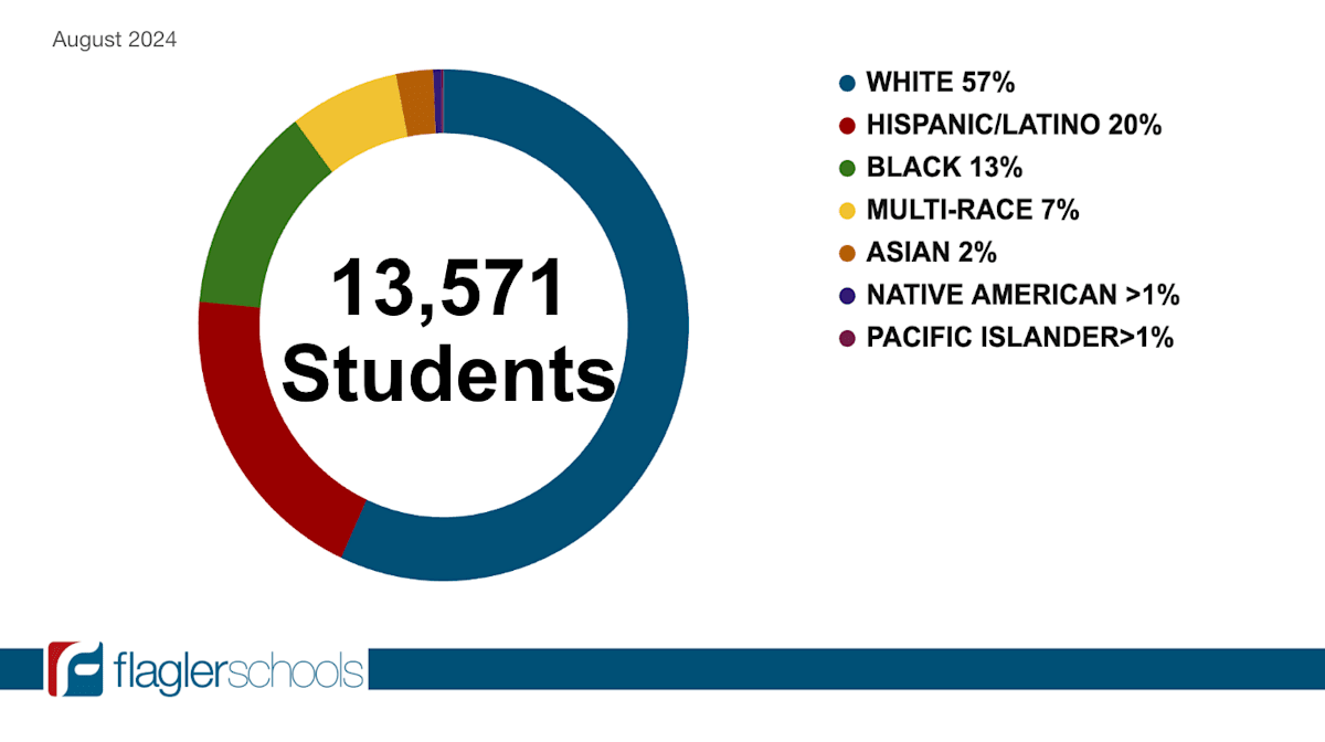 Student Demographic Pie Chart August 2024