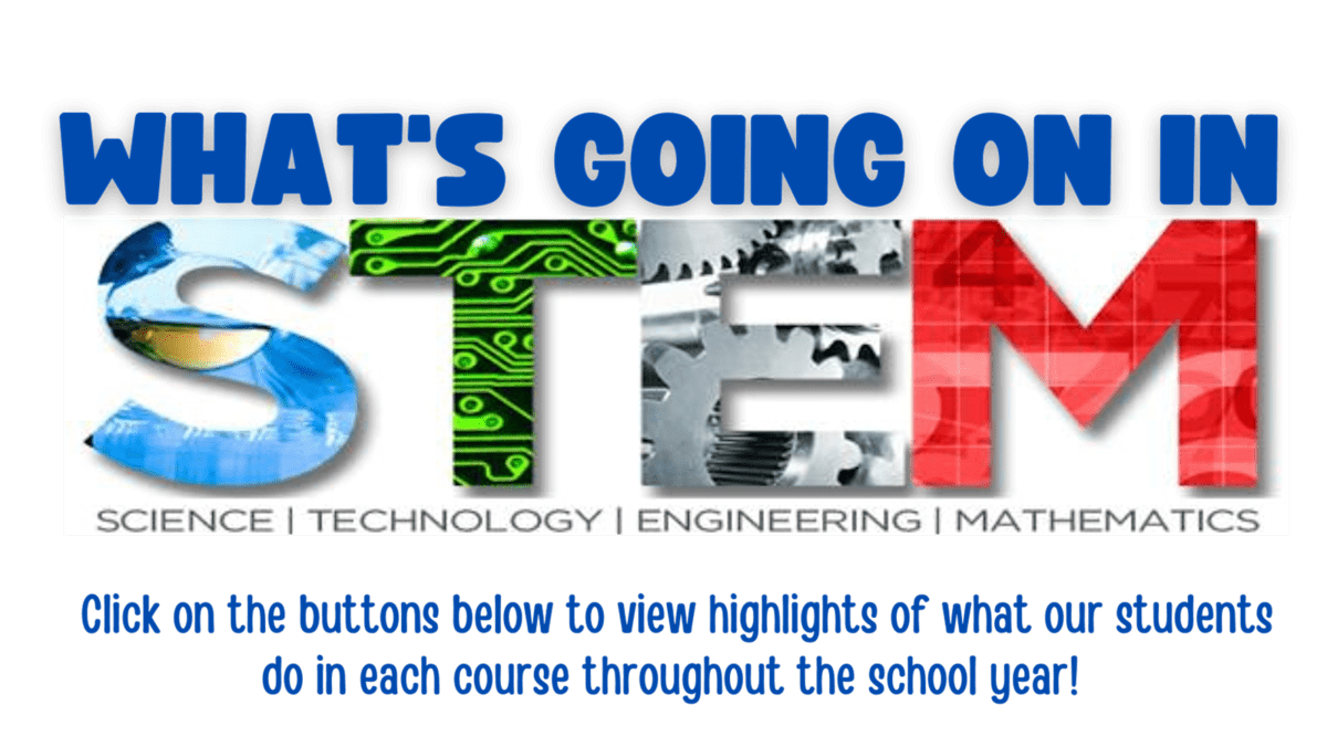 What's Going on in STEM -