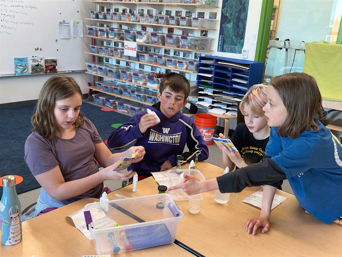 Students engaged in a SPARK activity