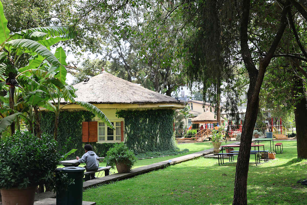 International Community School of Addis Ababa — Sports
