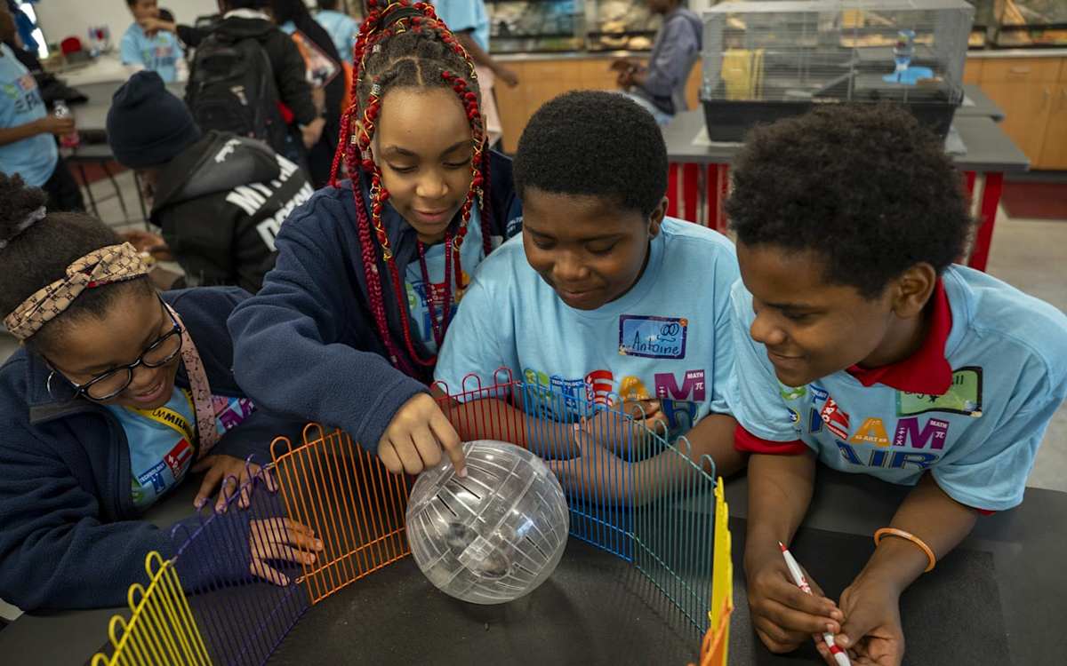 Students look at a mini exercise ball for hamsters and gerbils while at the STEAM Fair at Vincent High School of Agricultural Sciences.
