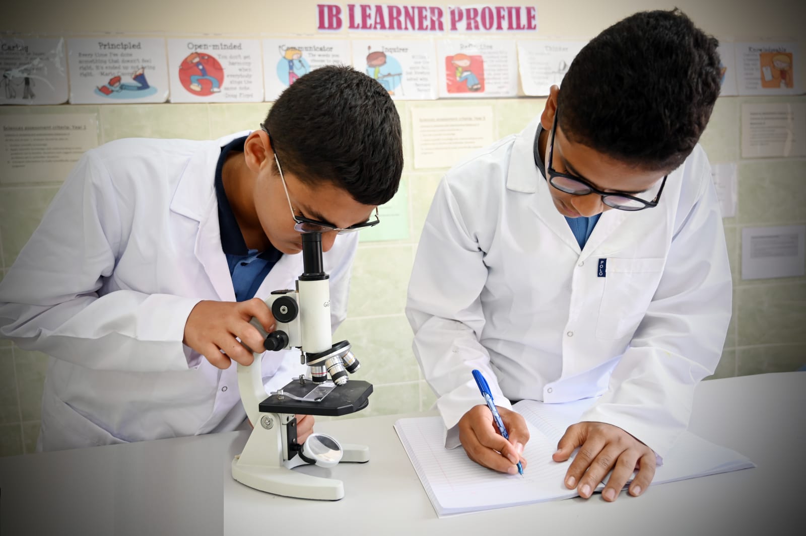 Egyptian International School-Zayed — Arts