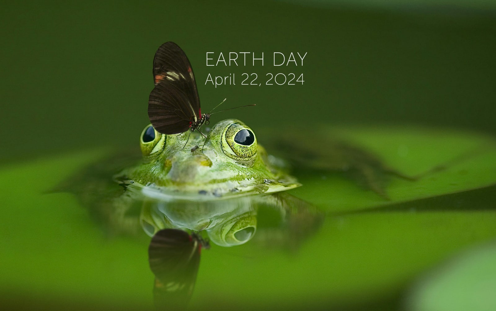 Earth Day is on April 22, 2024