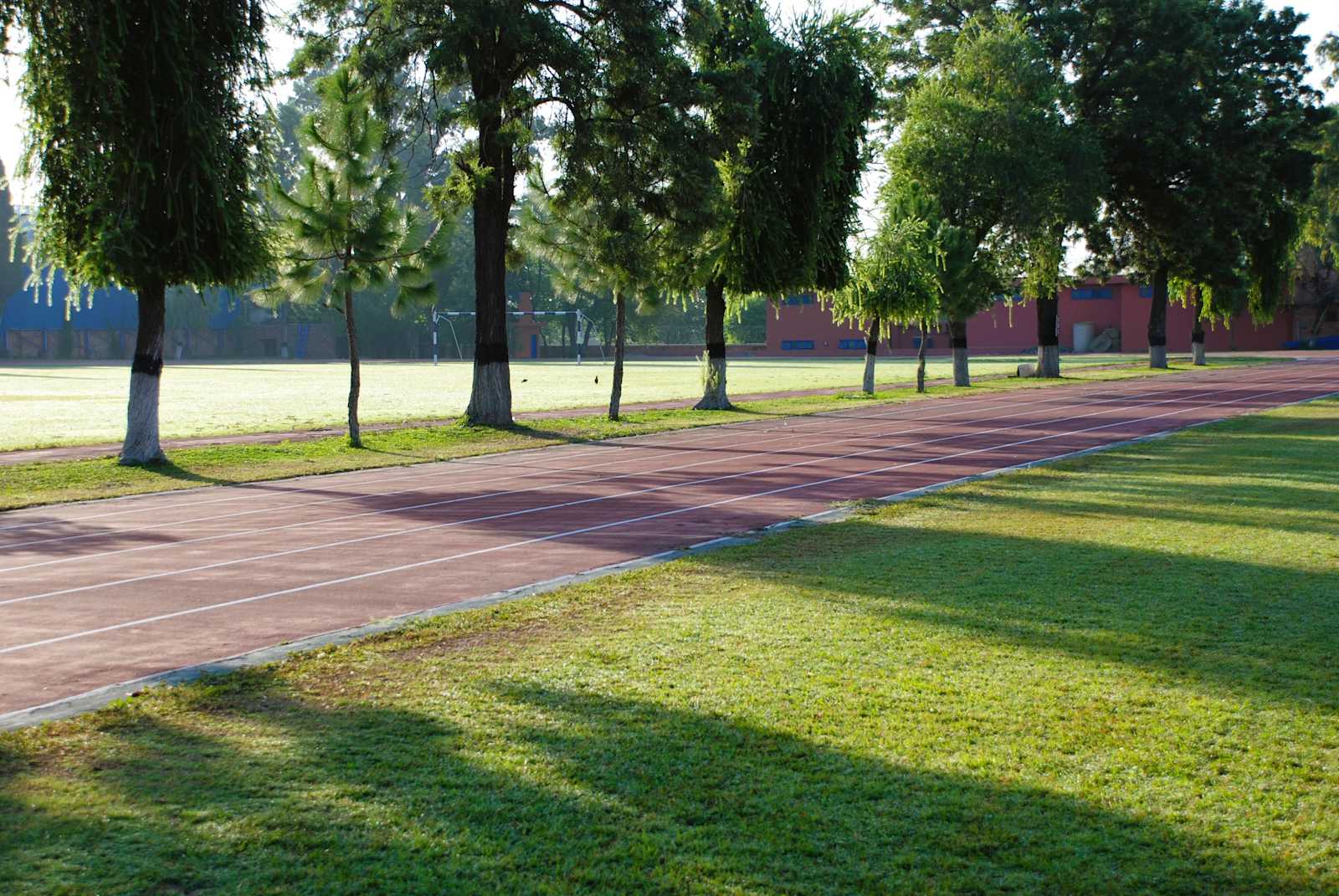 International School of Islamabad — Sports