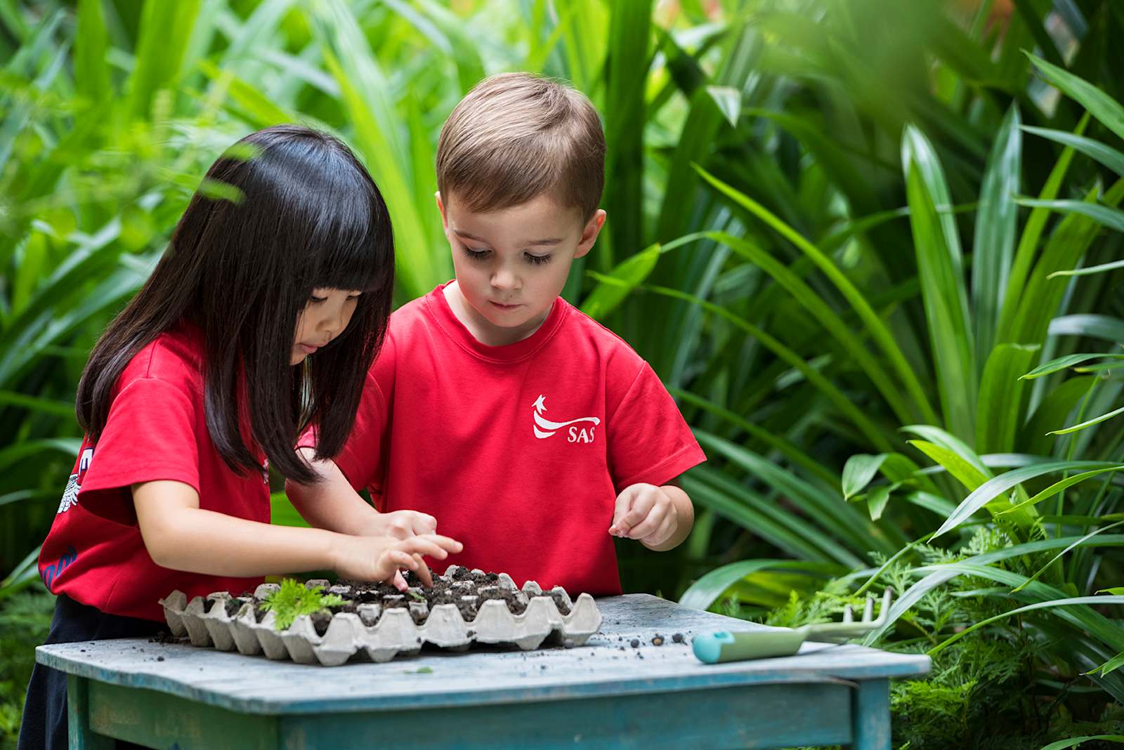 Singapore American School — Campus