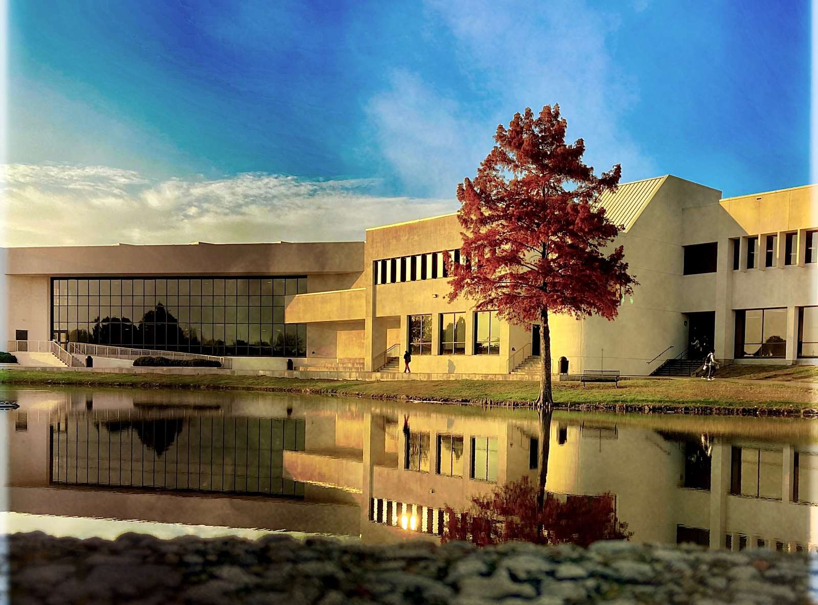 IB World School at Plano East — Campus