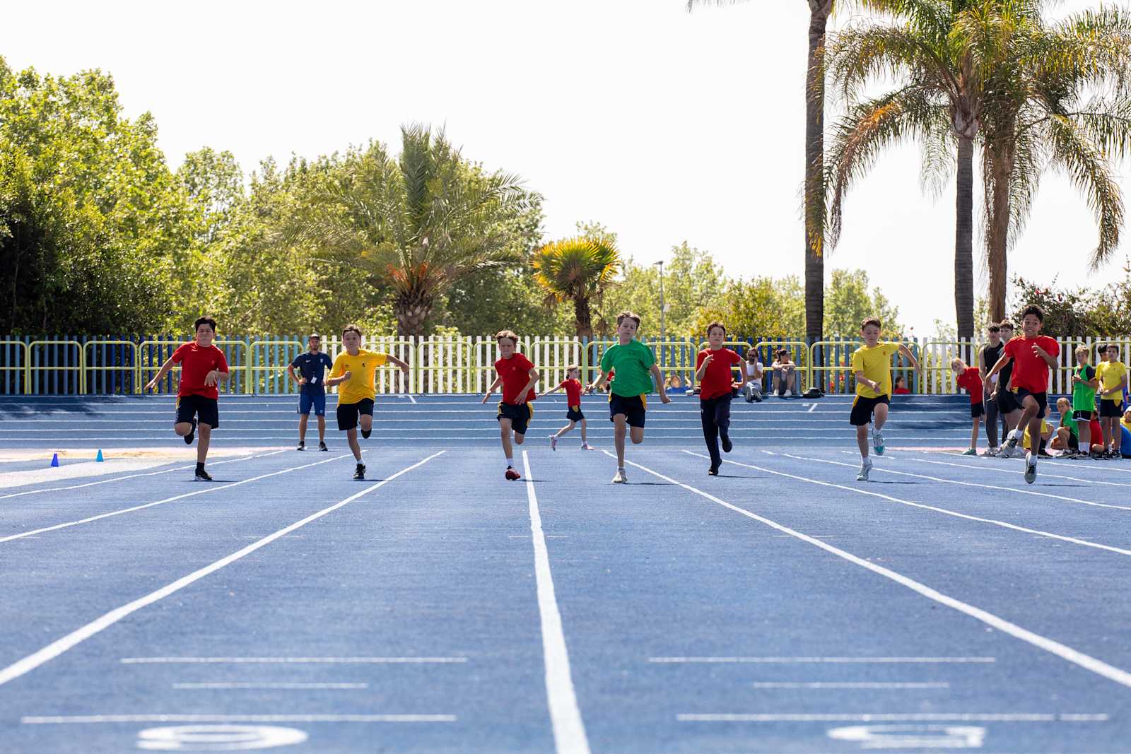 The British International School of Marbella — Campus