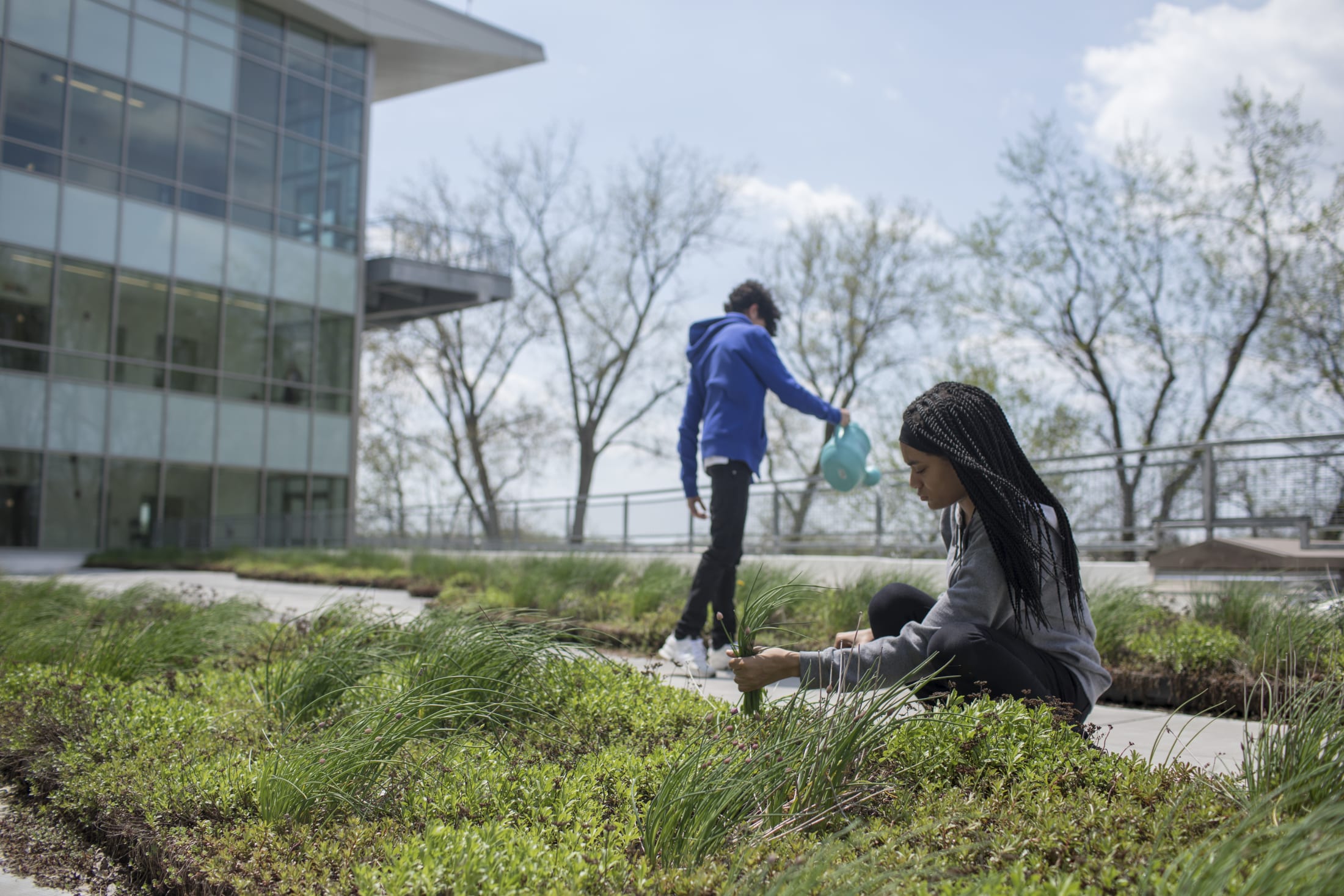 Sustainability-Themed Early College High School | CTRA