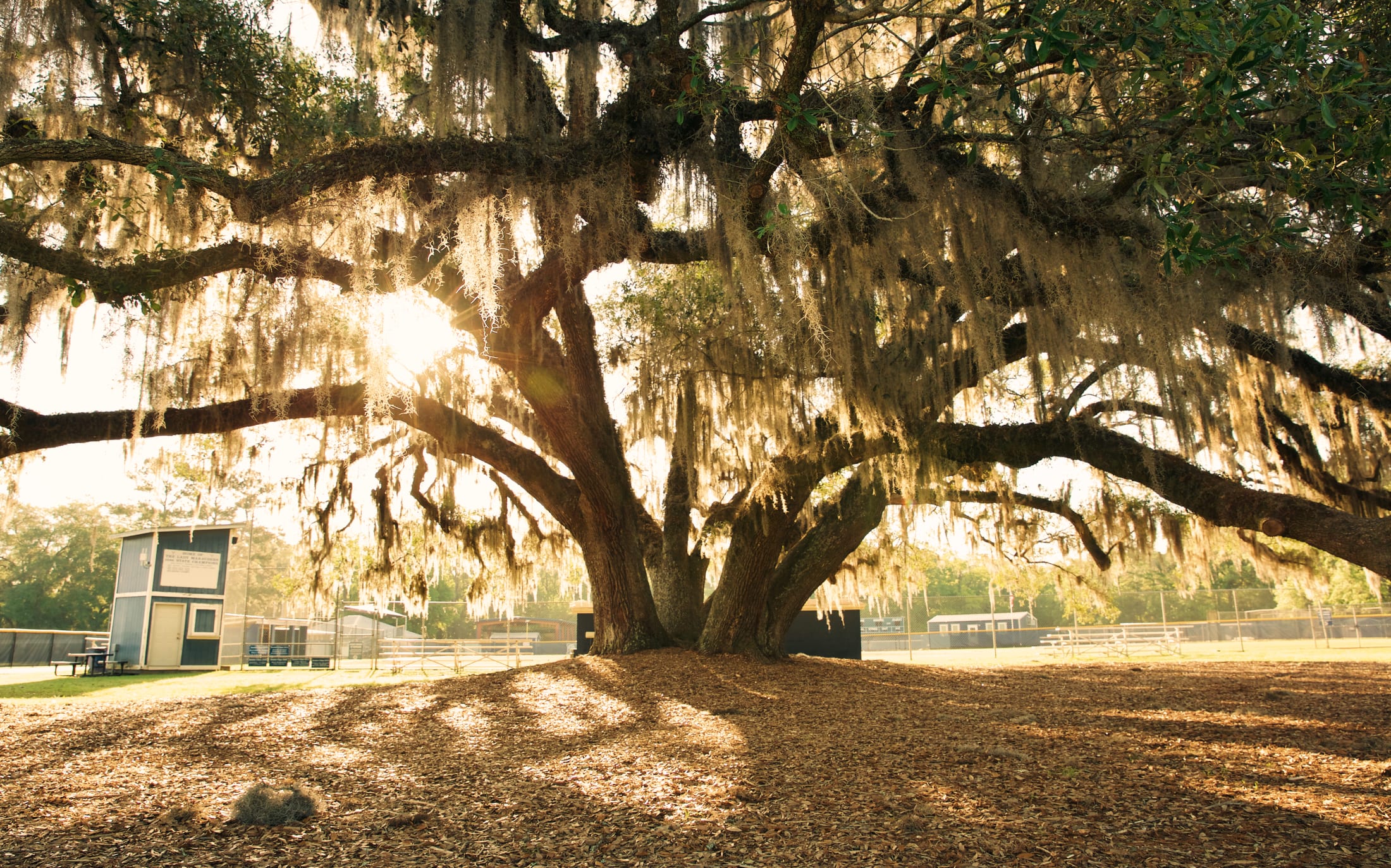 Our Campus Maclay School